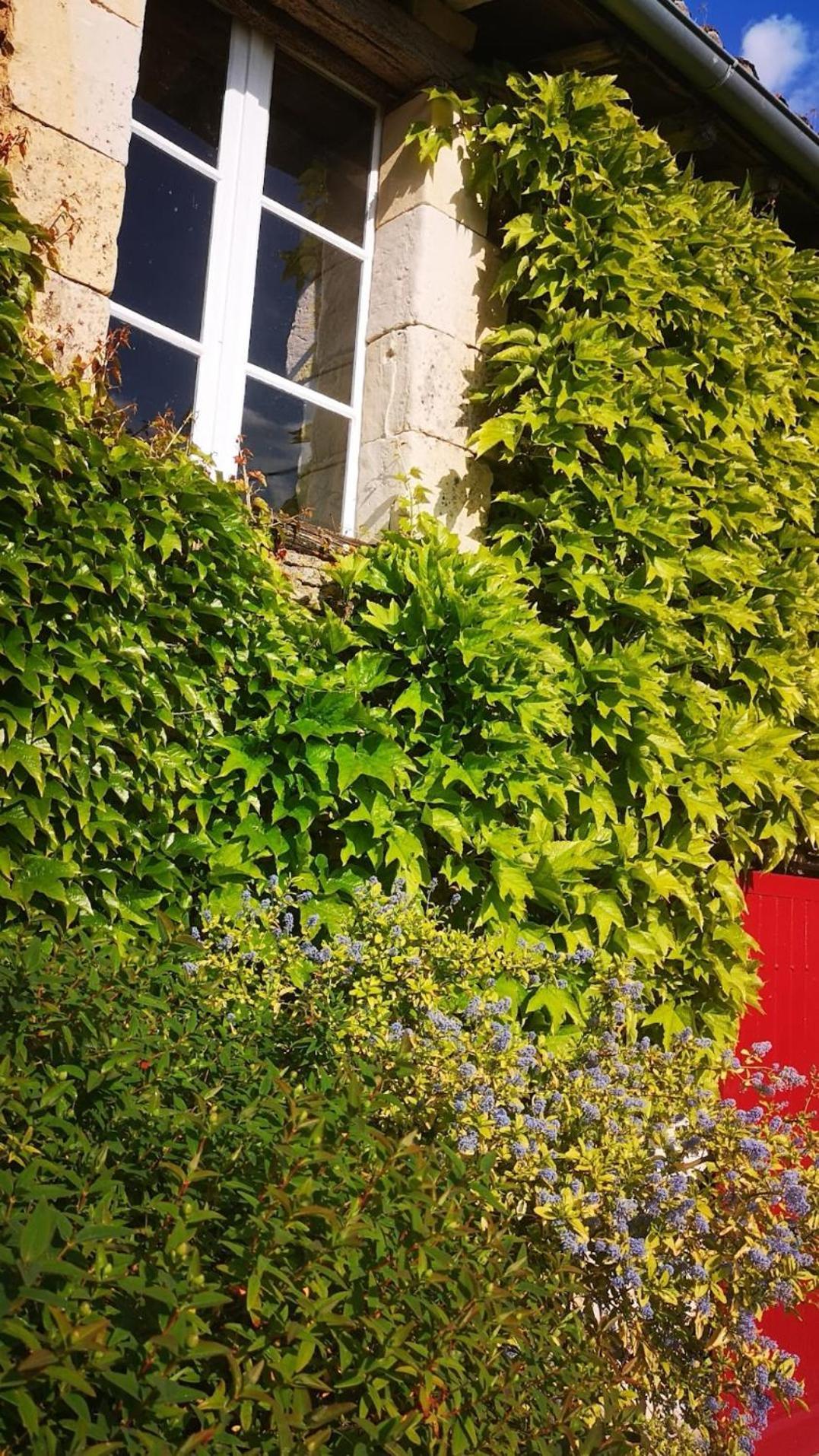 Mouterre-Silly La Ferme Du Grand Bois 아파트 외부 사진